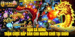 Bắn Cá Rồng Trận Cược Hấp Dẫn Cho Người Chơi Tại Sodo