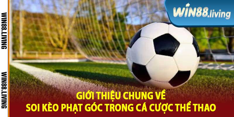 Giới thiệu chung về soi kèo phạt góc trong cá cược thể thao